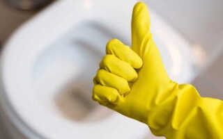 Как очистить унитаз от налета и мочевого камня: специальные и народные средства