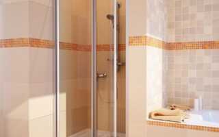 Двери для душевой ниши