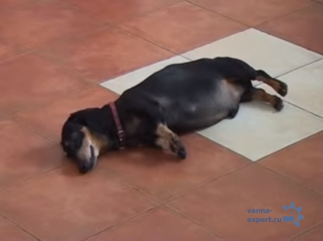 Напольное покрытие