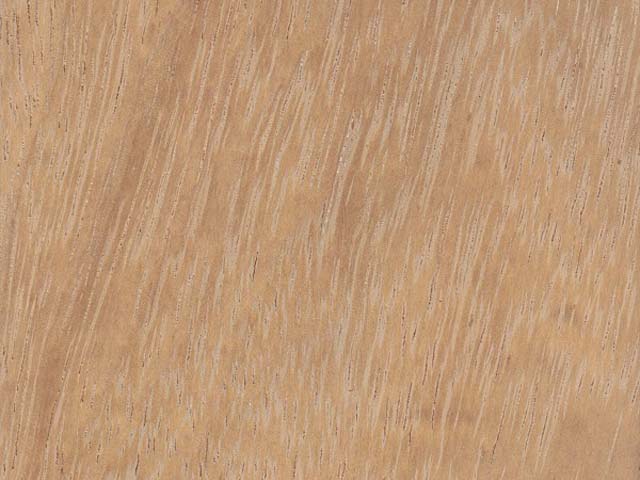 Цвет и текстура ироко