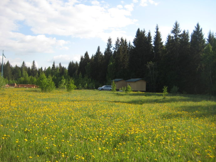 Для душа нужно выбирать хорошо освещенное место