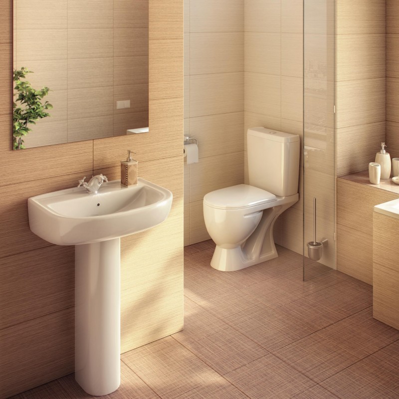 Раковина Rosa Ресса