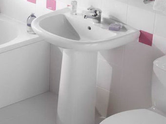 Раковины-тюльпаны