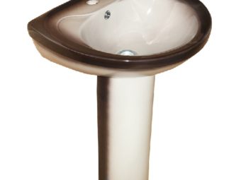 Rosa Лира чёрная