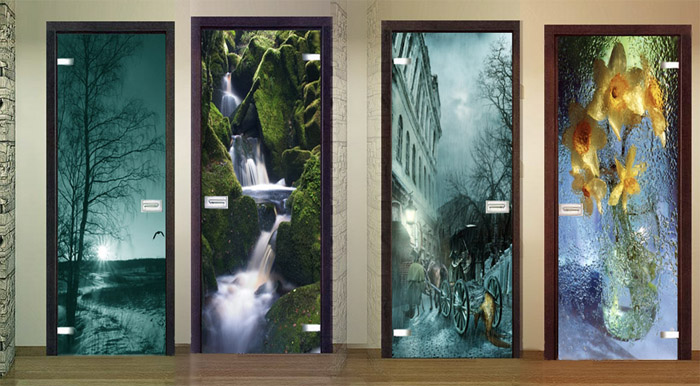Стеклянные двери с фотопечатью