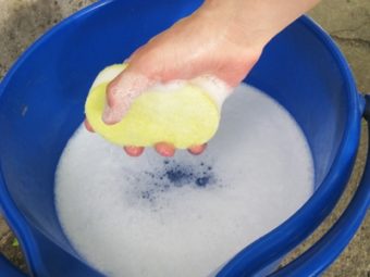Удаление плесени и грибка
