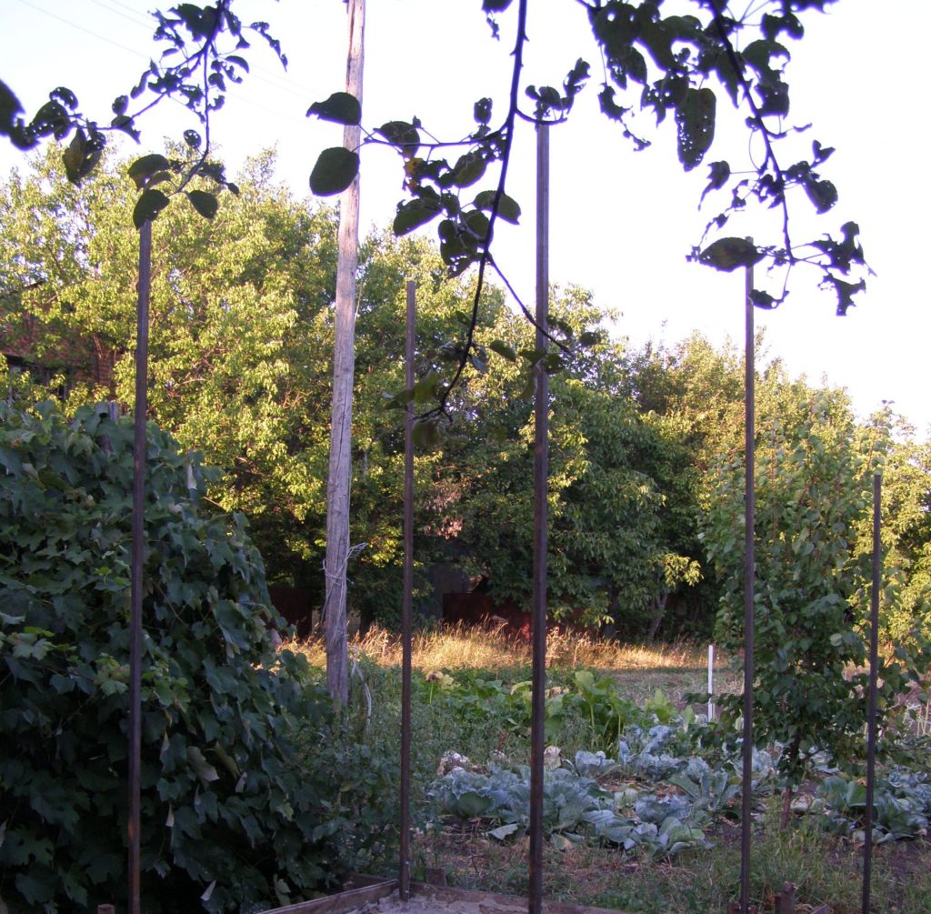 Вертикальные стойки